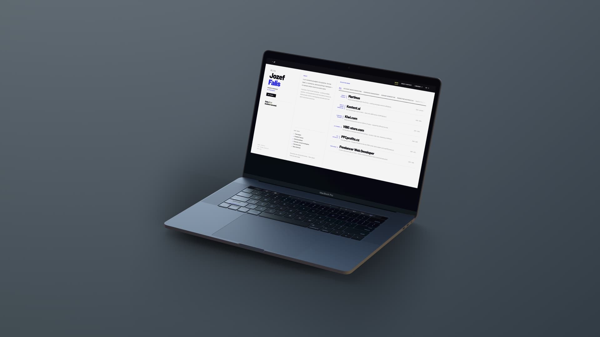 Freelancer Web Developer